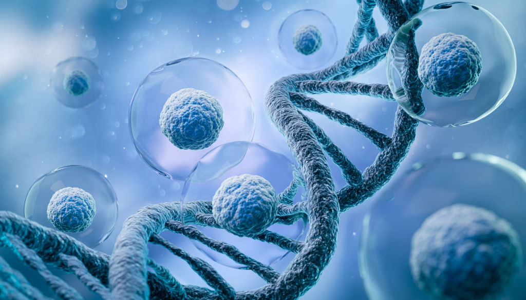 What is Regenerative Medicine?